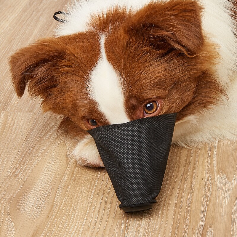 

1pc Plain Pet Muzzle, Black