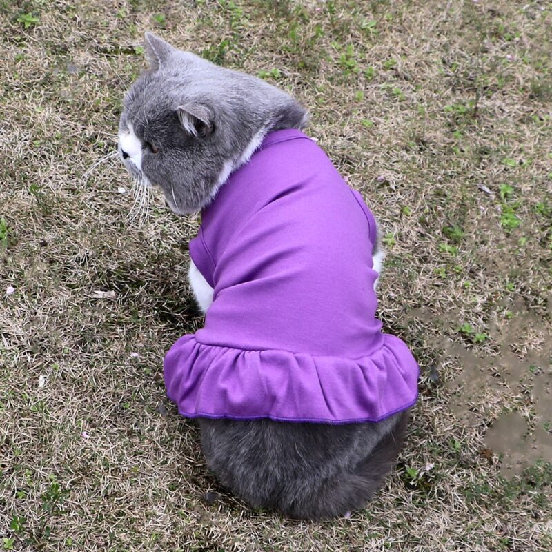 

Solid Color Pet Dress, Purple