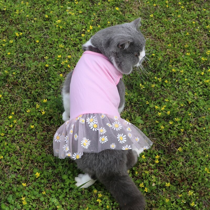 

Daisy Print Pet Dress, Pink