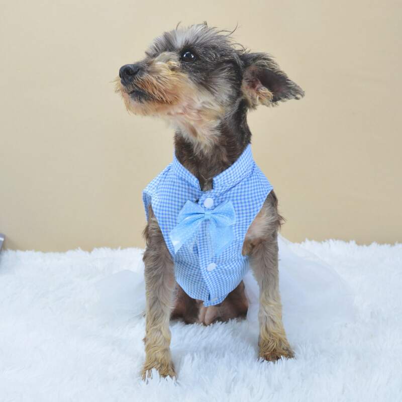 

Gingham Pattern Pet Dress, Blue