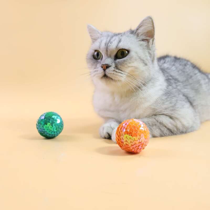 

2pcs Ball Shaped Pet Sound Toy, Multicolor