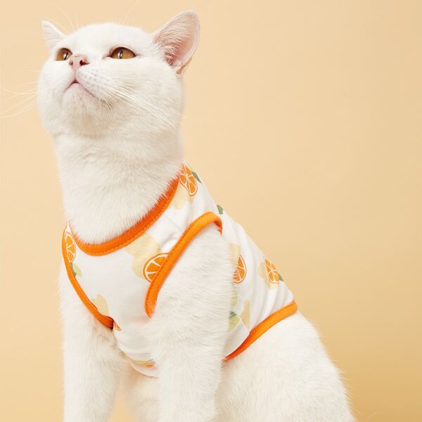 

Orange Print Pet Tank