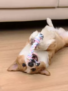 1入組繩三色麻花雙結牙齒清潔玩具用於寵物咬合適合狗狗日常使用 - 粉色 - 查看 1