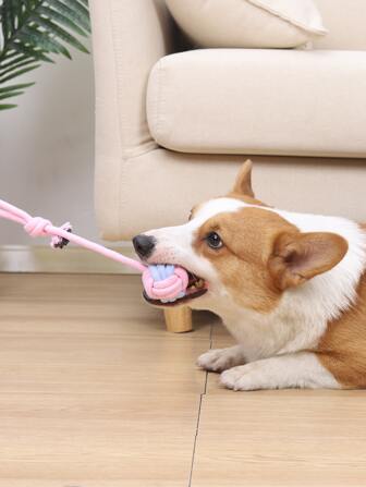 1 قطعة حبل بلون عشوائي ، يسحب الكرة الأرضية لتخفيف التوتر ، تنظيف الأسنان ، لعبة عض الحيوانات الأليفة ، مناسبة للاستخدام اليومي للكلاب