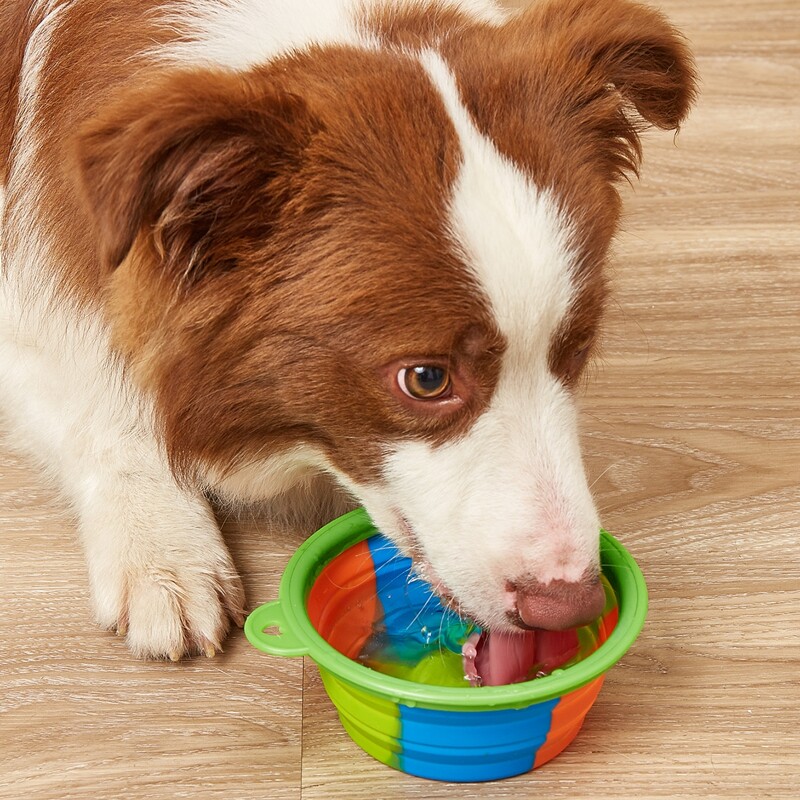 

1pc Foldable Pet Bowl, Multicolor