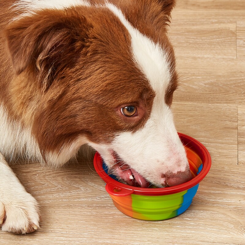 

1pc Foldable Pet Bowl, Multicolor