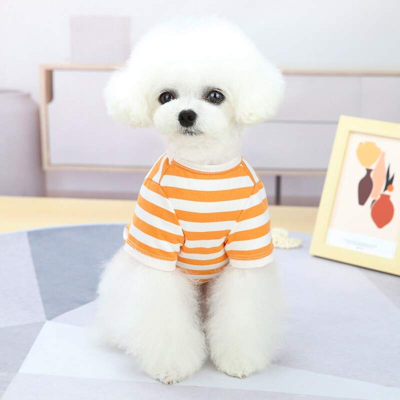 

Striped Pattern Pet Tee, Orange