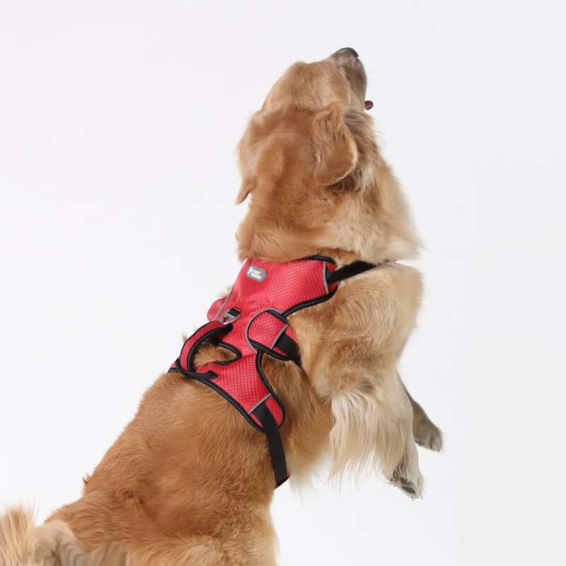 

1pc Solid Color Pet Harness, Red