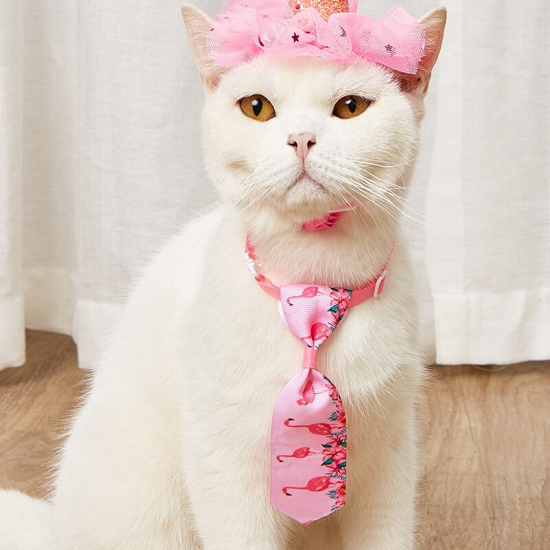 

1pc Pet Birthday Hat & 1pc Pet Tie, Pink