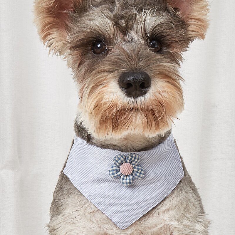 

Flower Detail Pet Scarf With Traction Buckle, Blue