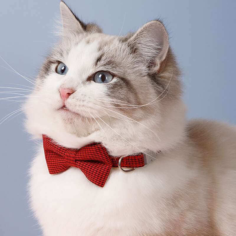

1pc Pet Bow With Traction Buckle, Red
