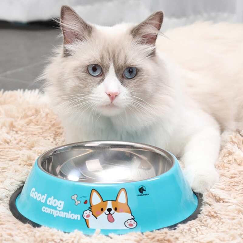 

Cartoon Dog Print Pet Bowl, Blue
