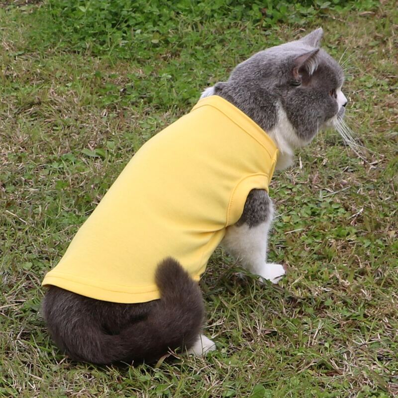 

Solid Color Pet Tank, Yellow