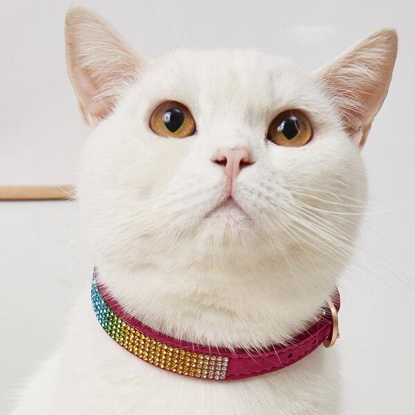 

Rhinestone Decor Pet Collar, Hot pink