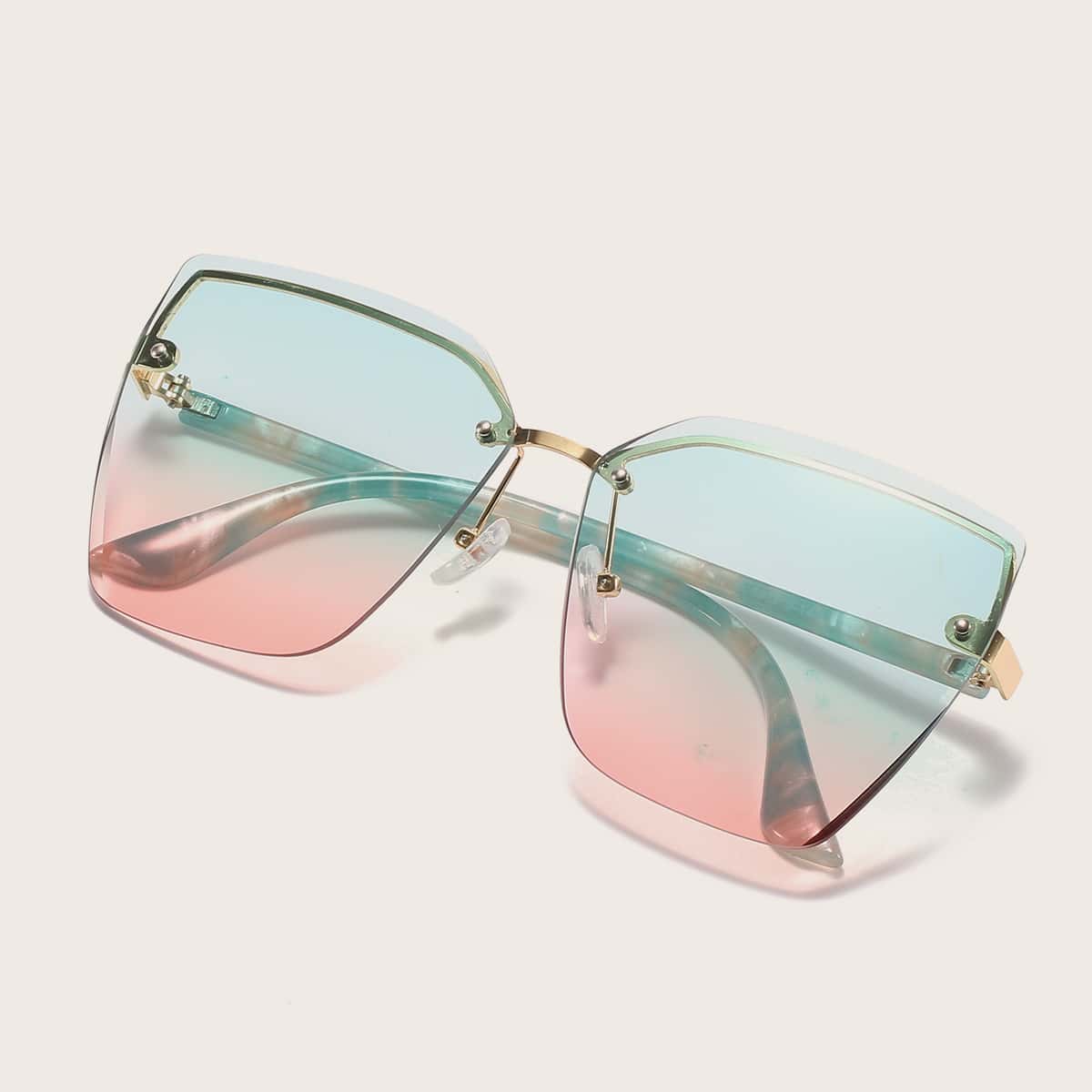 

Tinted Lens Sunglasses