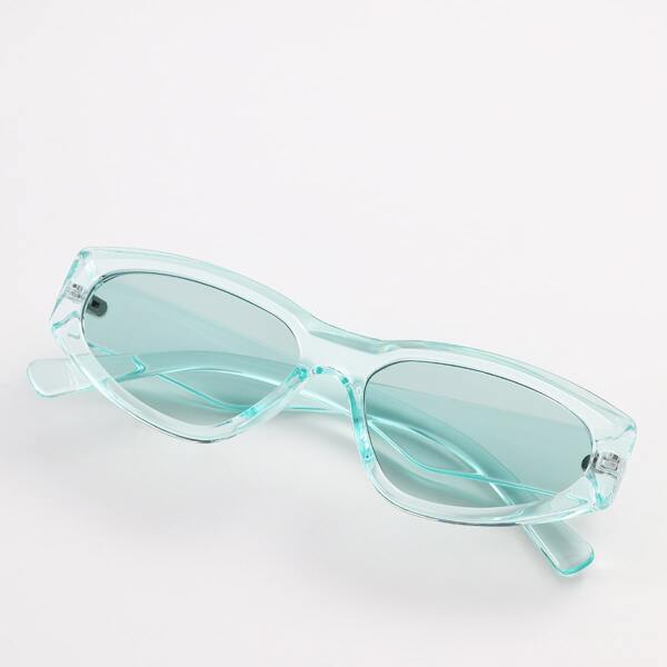 

Tinted Lens Sunglasses