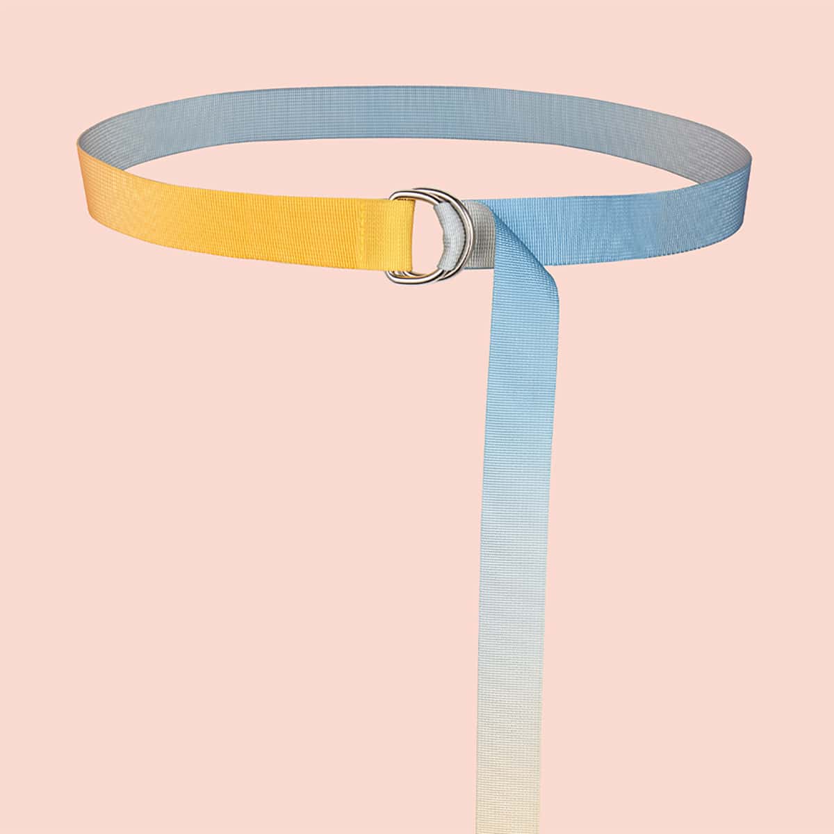 

D-Ring Buckle Belt, Multicolor