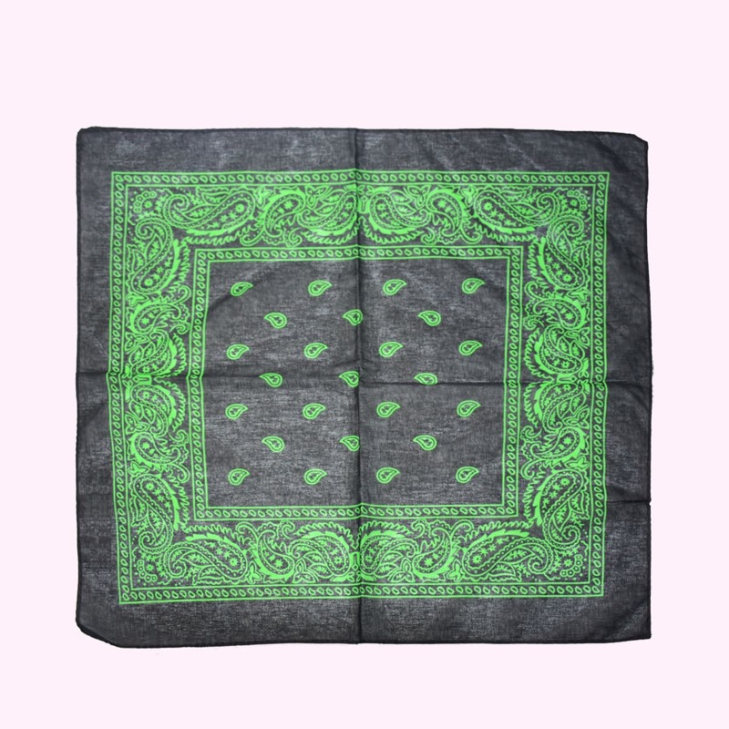 

Paisley Pattern Bandana, Multicolor