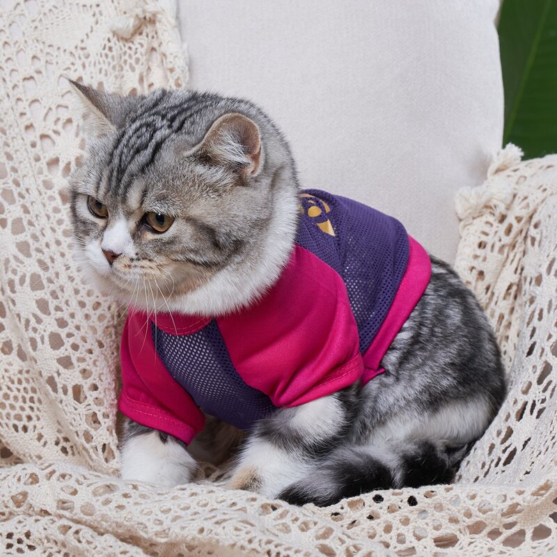 

Crown Print Pet Tee, Purple