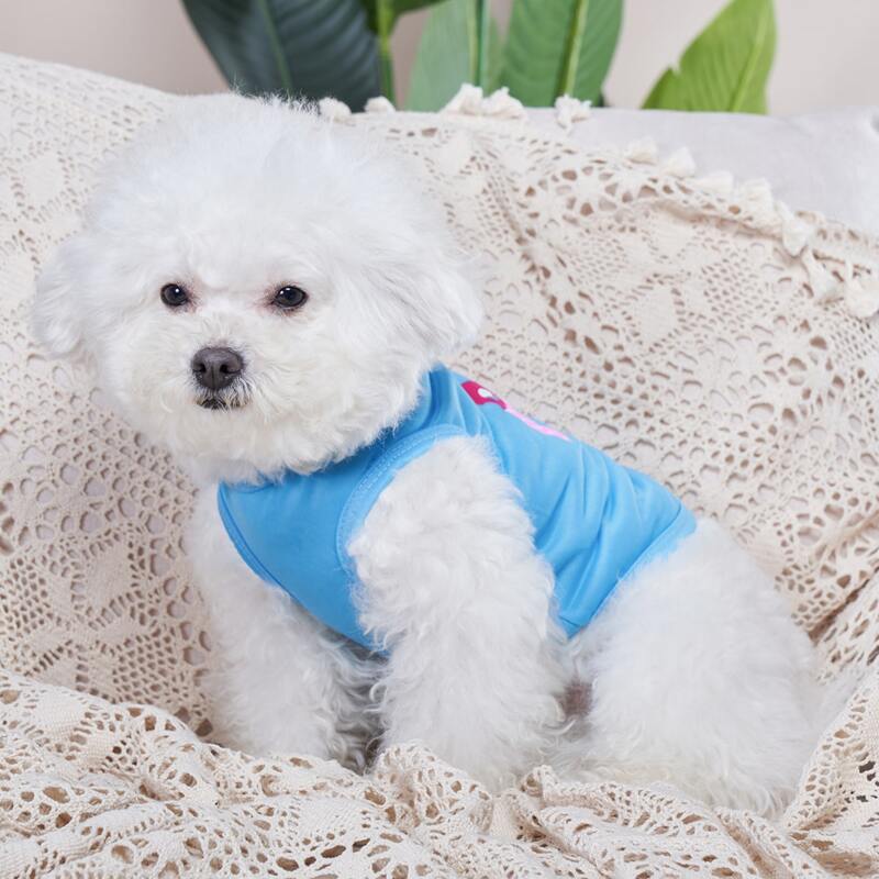 

Letter Graphic Pet Tank Top, Blue