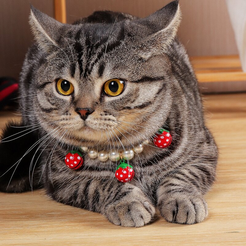 

Strawberry Bell Pet Pearl Necklace, Multicolor