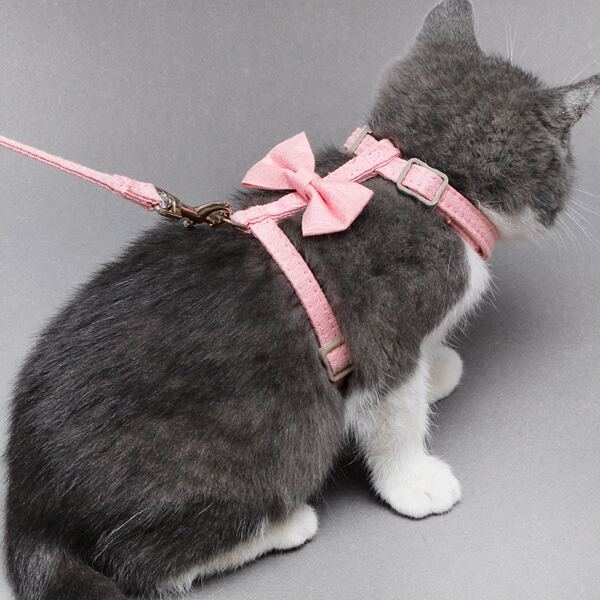 

1pc Bow Pet Harness & 1pc Leash, Pink
