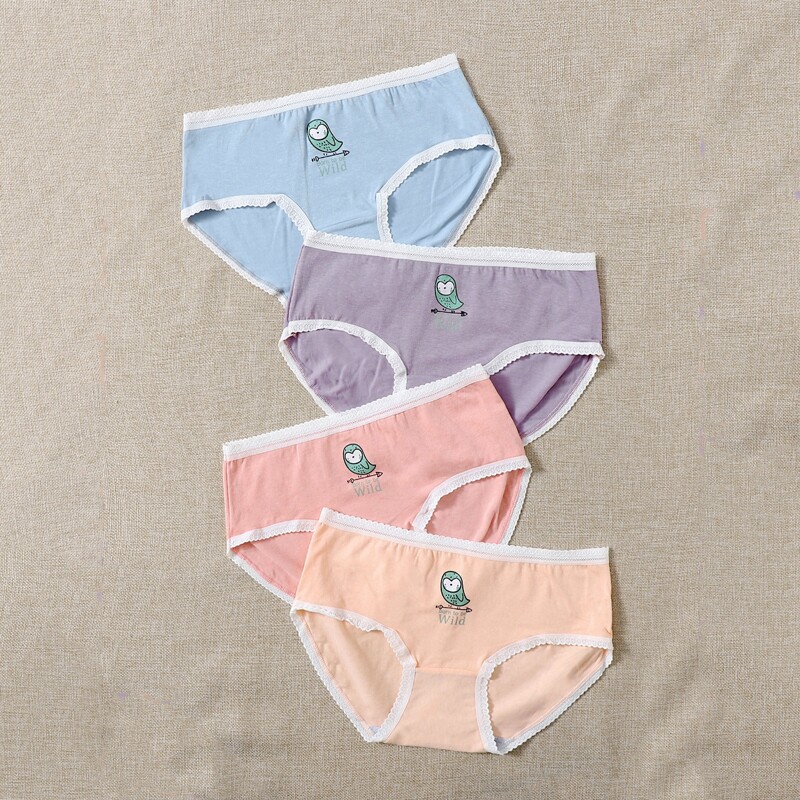 

4pack Bird Print Lace Trim Panty Set, Multicolor
