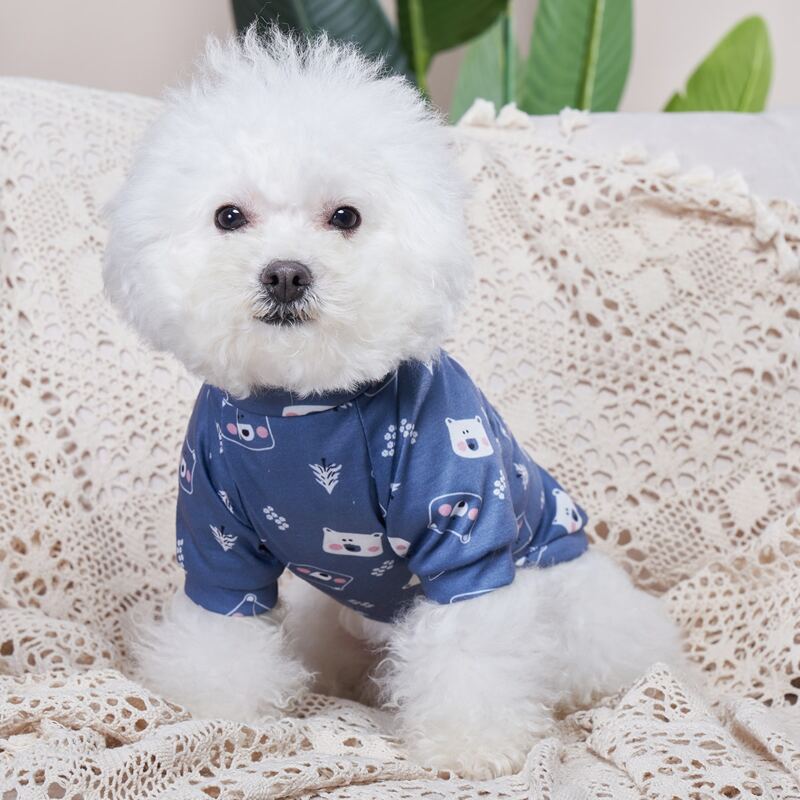 

Cartoon Bear Print Pet Tee, Blue