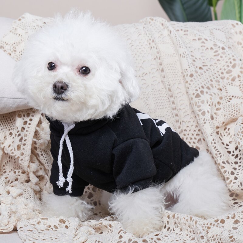 

Letter Graphic Pet Hoodie, Black