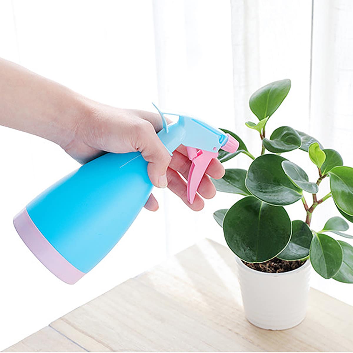 

1pc Random Watering Spray Bottle, Multicolor
