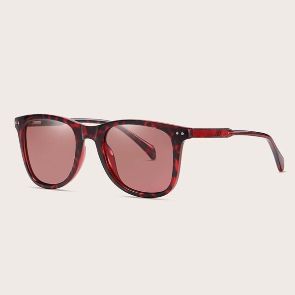

Tinted Lens Polarized Sunglasses