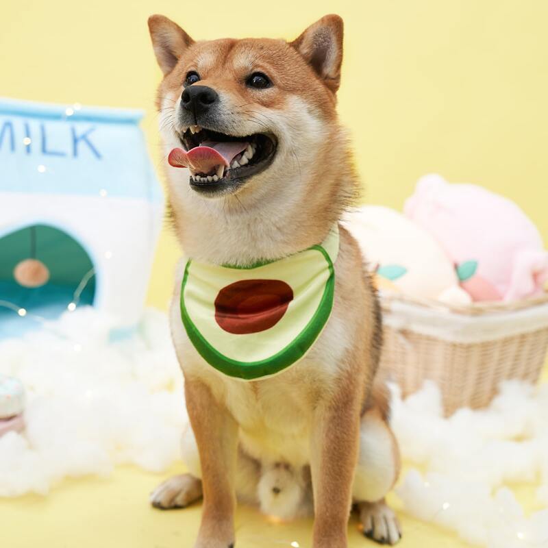 

Avocado Design Pet Bandana, Multicolor