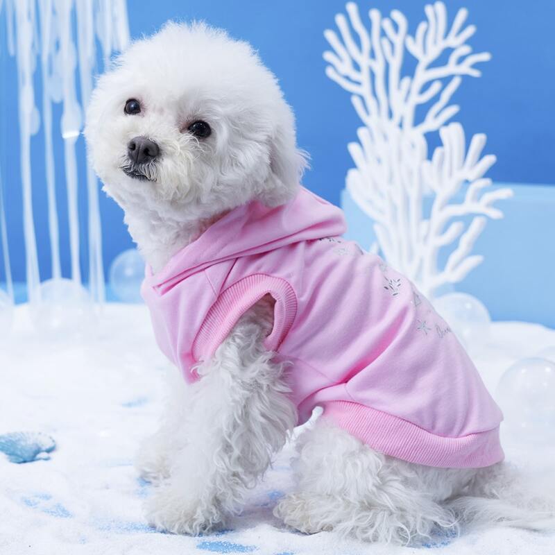 

Hippocampus Print Pet Hoodie, Pink