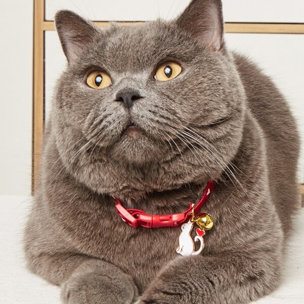 

Cat Pendant Bell Pet Necklace, Red