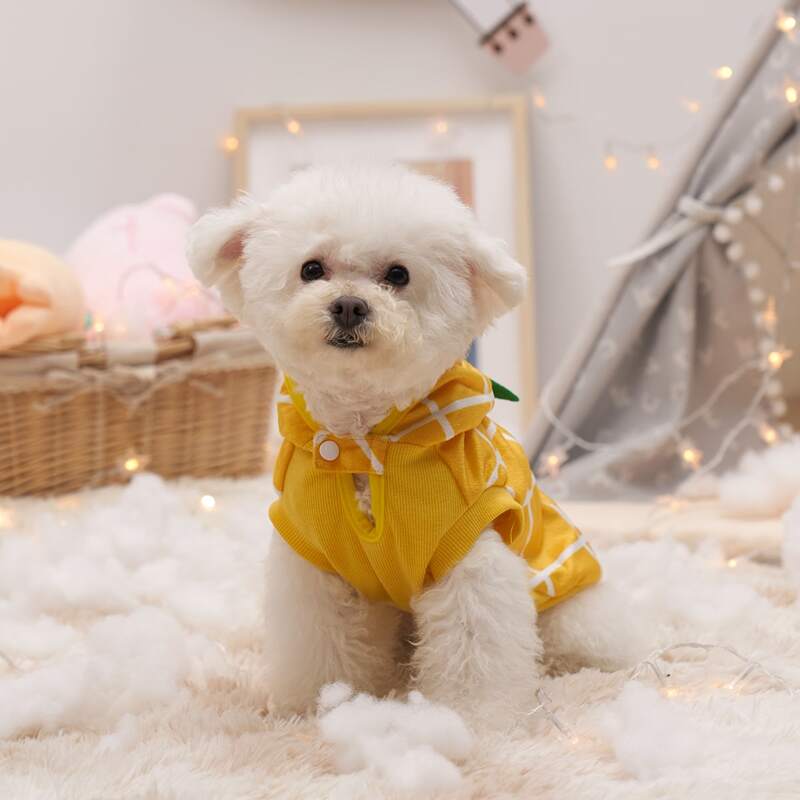 

Pineapple Design Pet Costume, Yellow