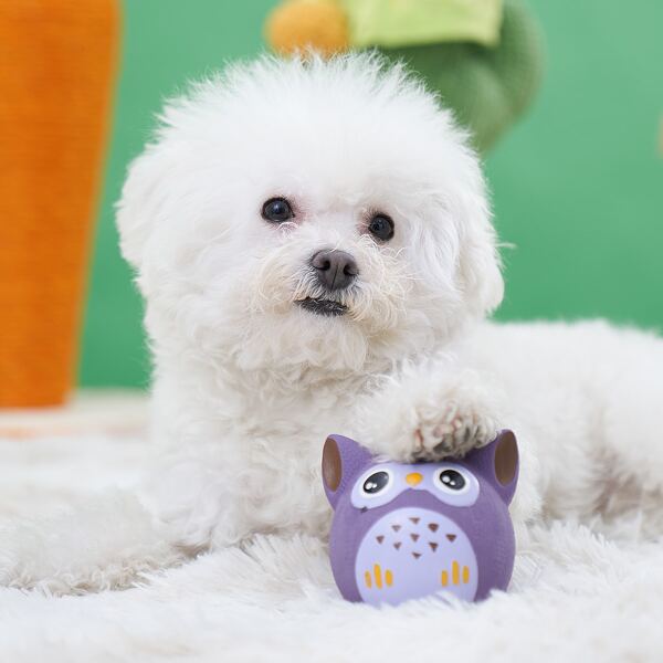 

1pc Owl Shaped Pet Sound Toy, Purple