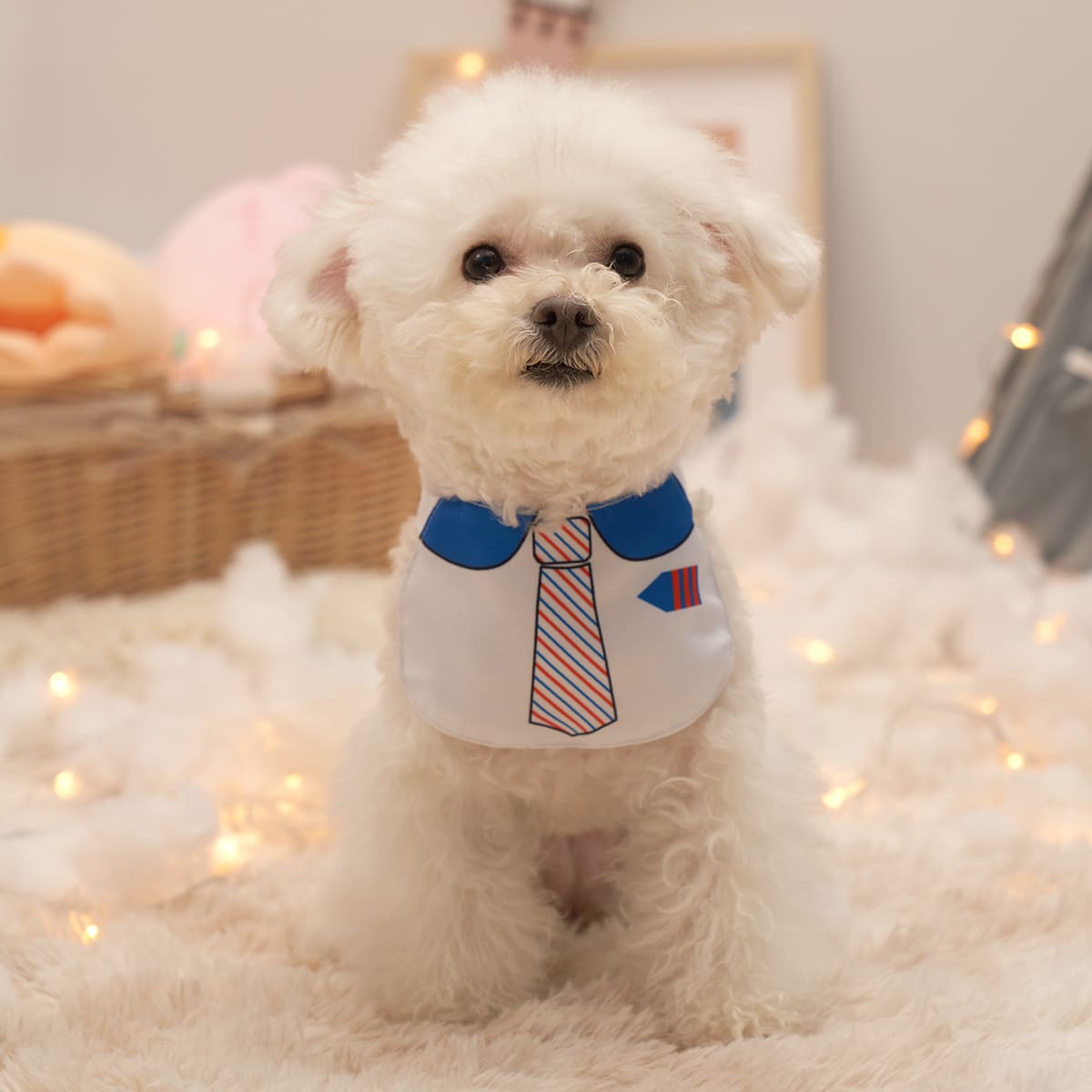 

Navy Style Pet Bandana, Multicolor