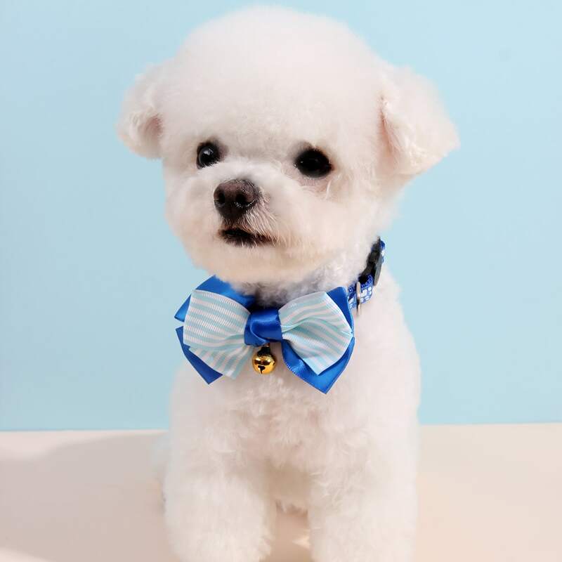 

Striped Bow Pet Collar, Blue