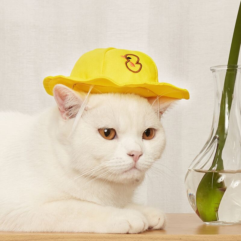 

Duck Pattern Pet Hat, Yellow