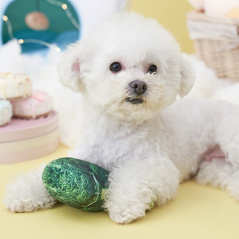 

1pc Broccoli Shaped Pet Sound Toy, Green