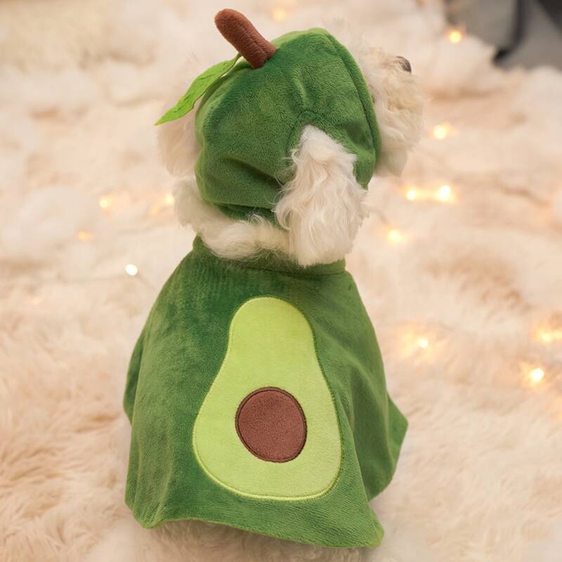 

Avocado Design Pet Costume, Green