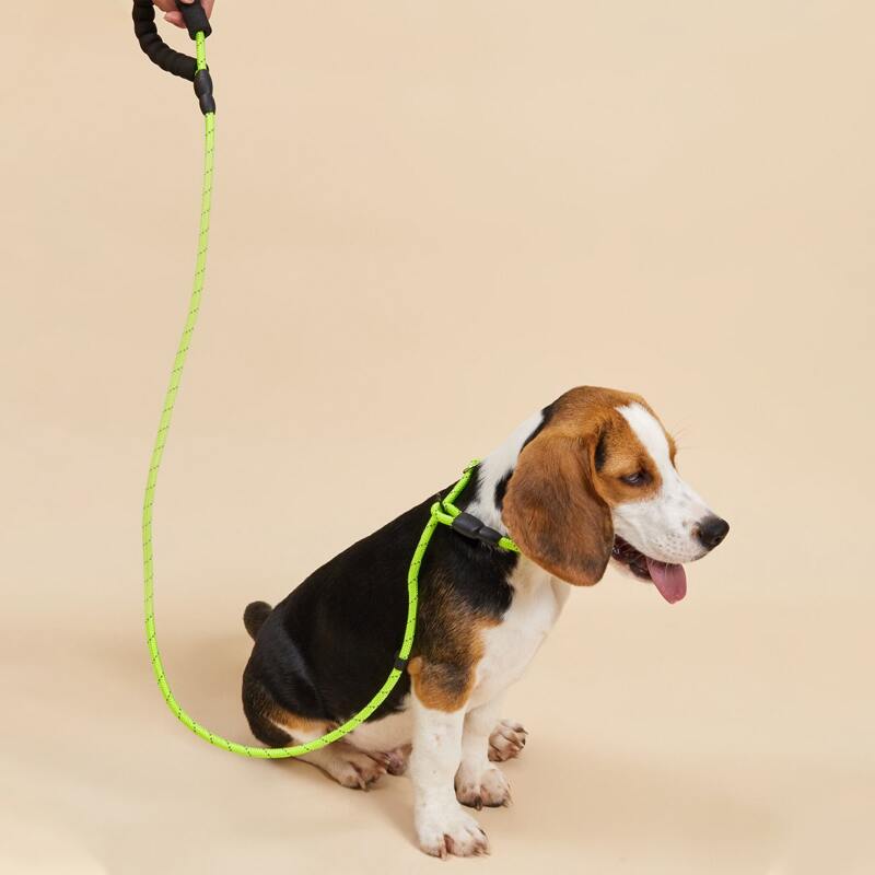 

Nylon Rope Pet Leash, Green