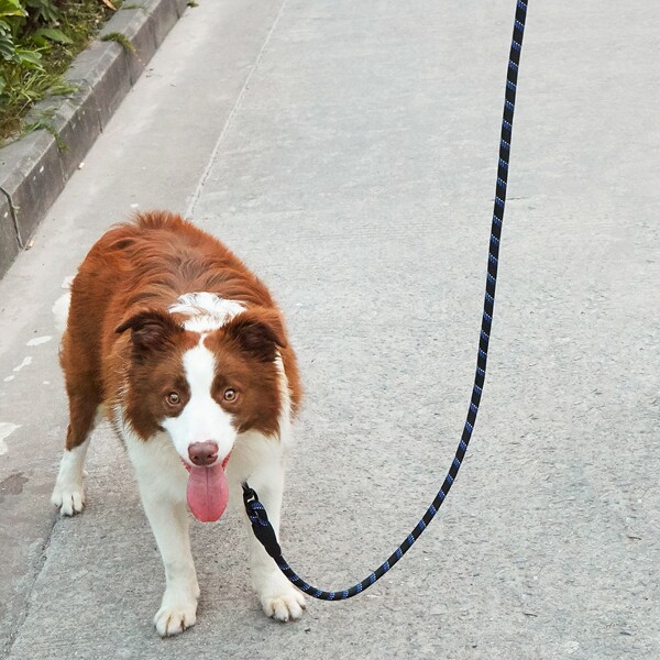 

Reflective Wire Pet Leash, Blue