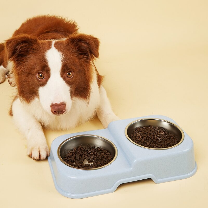 

1pc Double Pet Bowl, Blue