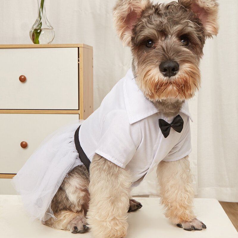 

Bow Decor Pet Dress, White