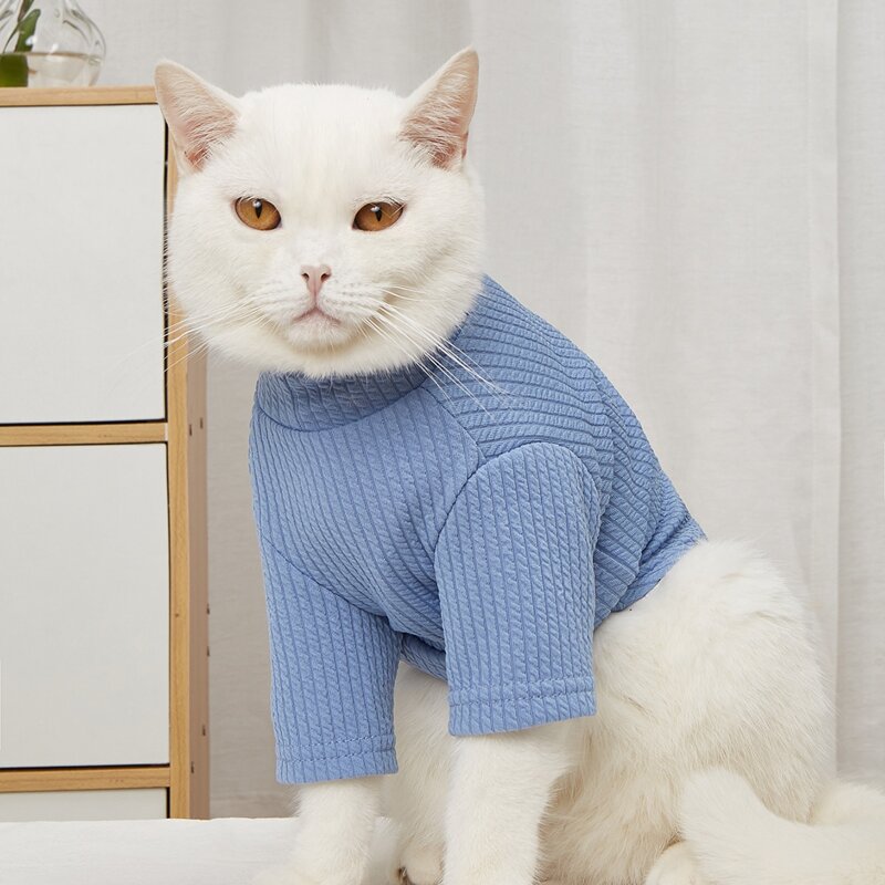 

Solid Color Pet Tee, Blue
