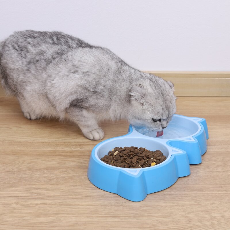 

1pc Cartoon Design Double Pet Bowl, Blue