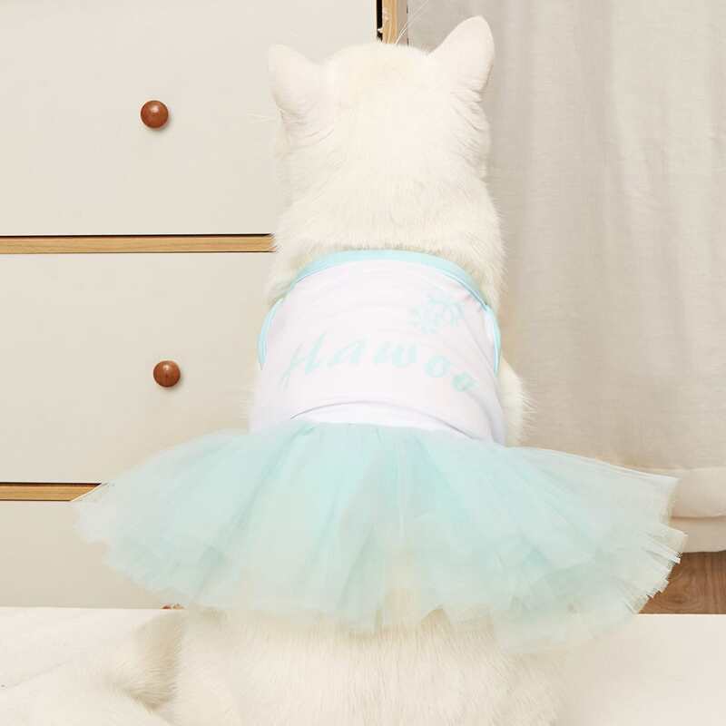 

Letter Graphic Mesh Pet Dress, Baby blue