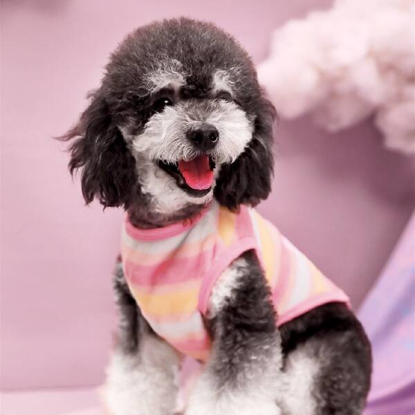 

Striped Pattern Pet Tank Top, Multicolor