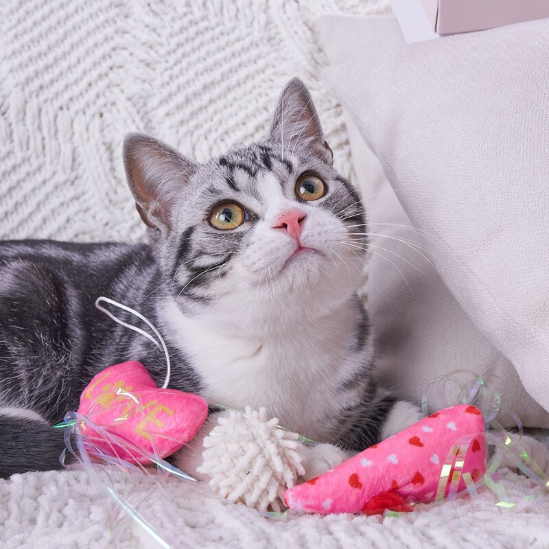

3pcs Rat & Heart Pet Toy Set, Pink